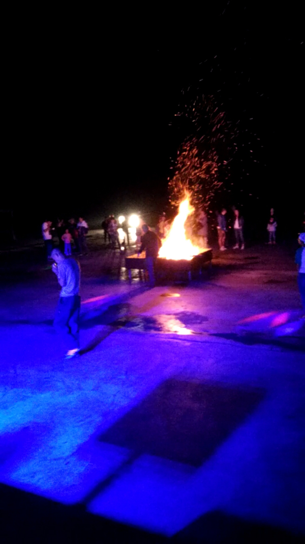 煙臺棲霞市清田果蔬310千瓦光伏電站項目